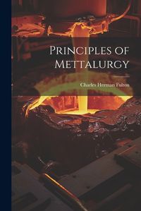 Cover image for Principles of Mettalurgy