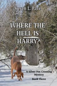 Cover image for Where the Hell is Harry?