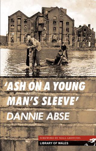 Cover image for Ash on a Young Man's Sleeve