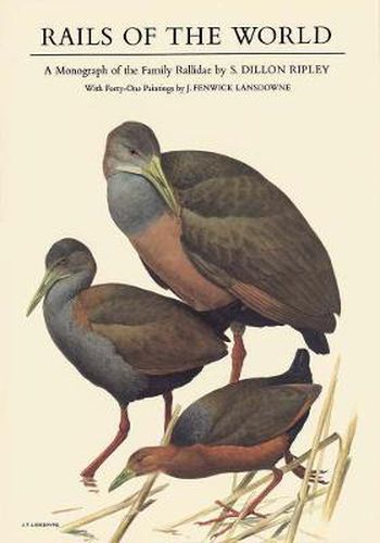 Cover image for Rails of the World: A Monograph of the Family Rallidae