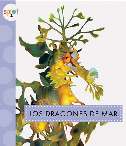 Cover image for Los Dragones de Mar