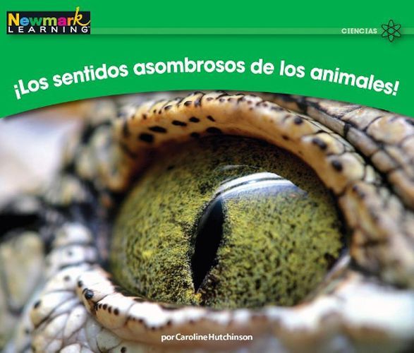 Cover image for Ilos Sentidos Asombrosos de Los Animales! Leveled Text