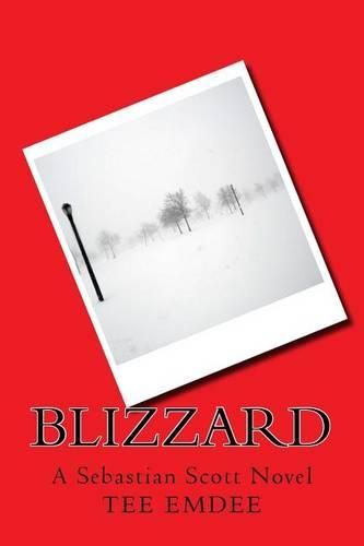 Cover image for Blizzard: A Sebastian Scott Novel