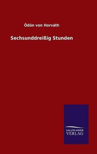 Cover image for Sechsunddreissig Stunden