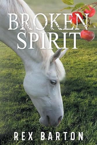 Cover image for Broken Spirit