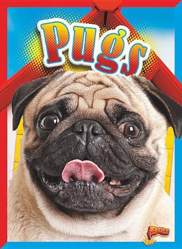 Cover image for Pugs