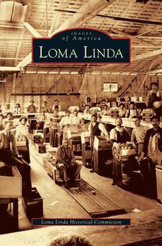 Cover image for Loma Linda