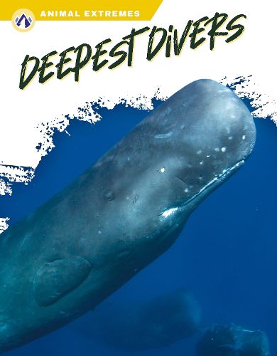 Cover image for Deepest Divers