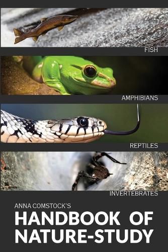 Cover image for The Handbook Of Nature Study in Color - Fish, Reptiles, Amphibians, Invertebrates