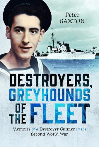 Cover image for Destroyers, Greyhounds of the Fleet