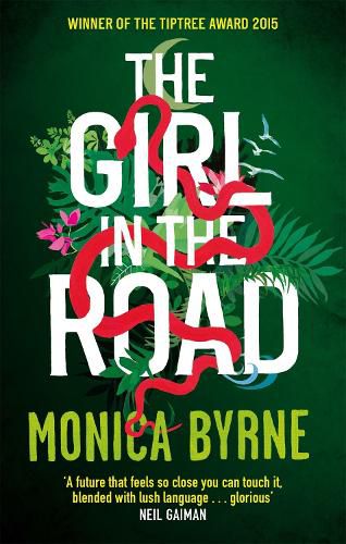 Cover image for The Girl in the Road