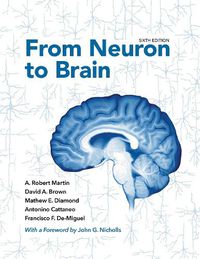 Cover image for From Neuron to Brain