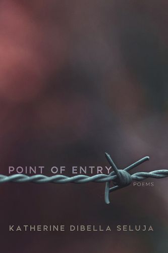 Cover image for Point of Entry