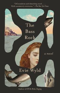 Cover image for The Bass Rock: A Novel