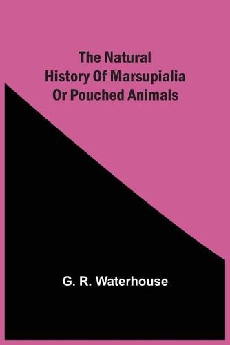 Cover image for The Natural History Of Marsupialia Or Pouched Animals