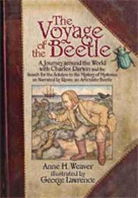 Cover image for The Voyage of the Beetle: A Journey Around the World with Charles Darwin and the Search for the Solution to the Mystery of Mysteries, as Narrated by Rosie, an Articulate Beetle
