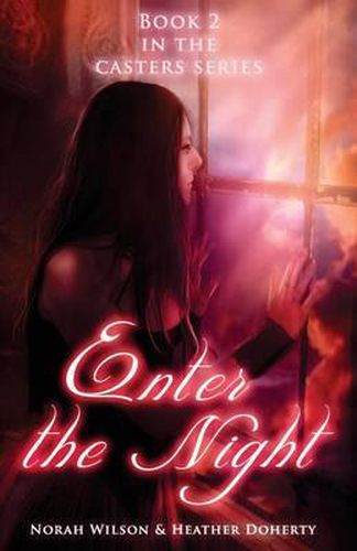 Cover image for Enter the Night