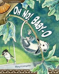 Cover image for Oh No! Baby-O