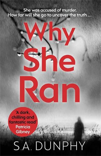 Cover image for Why She Ran