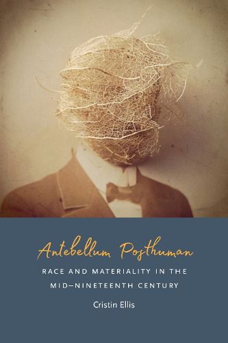 Cover image for Antebellum Posthuman: Race and Materiality in the Mid-Nineteenth Century