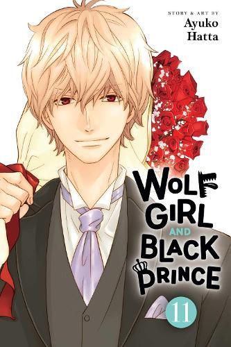 Cover image for Wolf Girl and Black Prince, Vol. 11: Volume 11