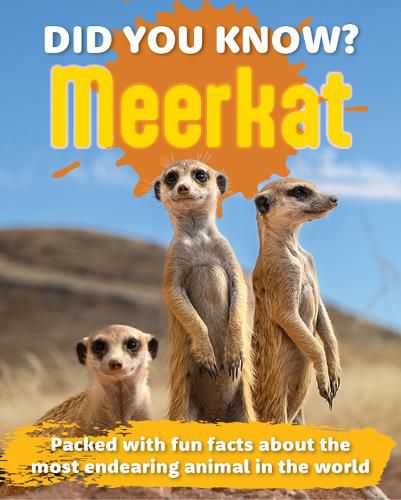 Cover image for Did You Know? Meerkat