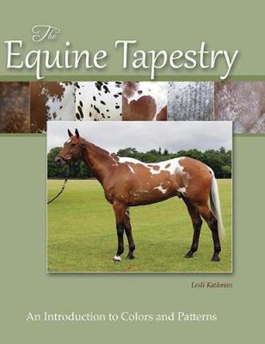 Cover image for The Equine Tapestry: An Introduction to Colors and Patterns