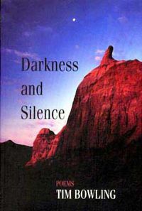 Cover image for Darkness and Silence