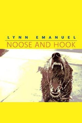 Cover image for Noose and Hook