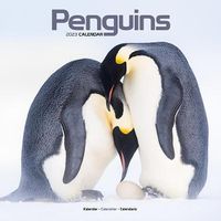 Cover image for Penguins 2023 Wall Calendar