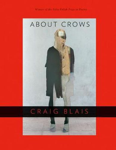 Cover image for About Crows