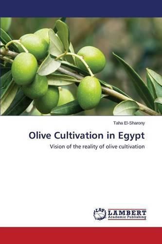 Cover image for Olive Cultivation in Egypt