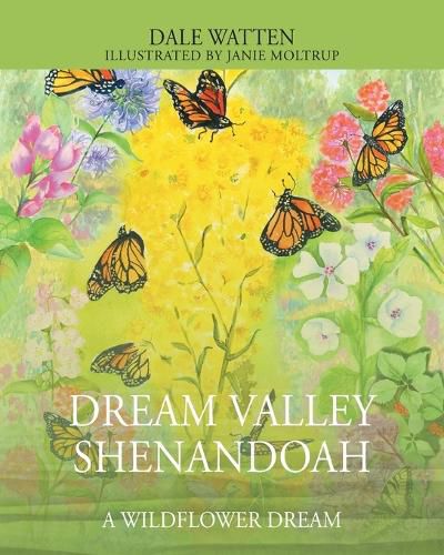 Cover image for Dream Valley Shenandoah
