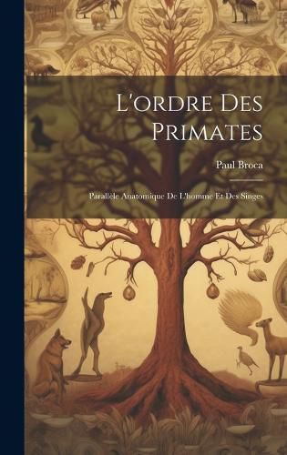 Cover image for L'ordre Des Primates
