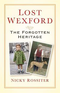 Cover image for Lost Wexford: The Forgotten Heritage