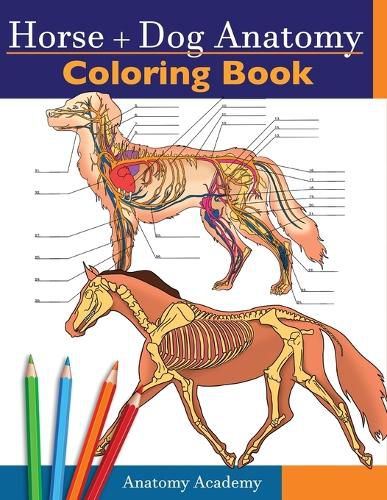 Cover image for Horse + Dog Anatomy Coloring Book: 2-in-1 Compilation Incredibly Detailed Self-Test Equine & Canine Anatomy Color workbook Perfect Gift for Veterinary Students, Animal Lovers & Adults