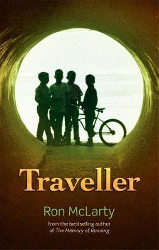 Cover image for Traveller