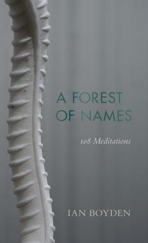 Cover image for Forest of Names: 108 Meditations