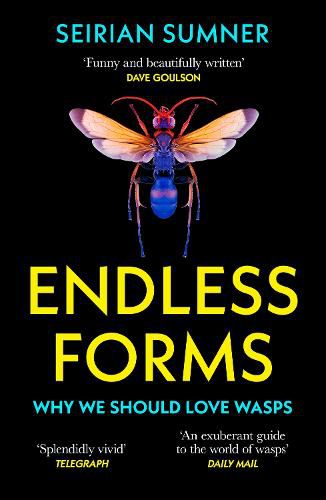 Cover image for Endless Forms: The Secret World of Wasps