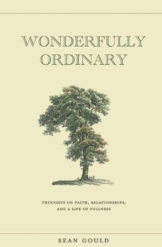 Cover image for Wonderfully Ordinary