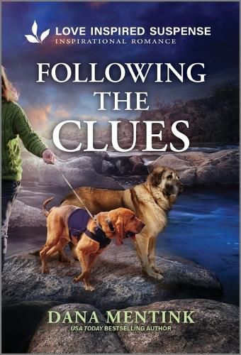 Cover image for Following the Clues