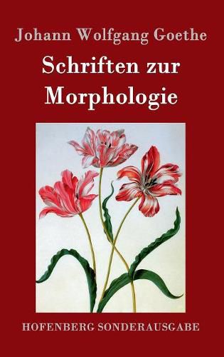 Cover image for Schriften zur Morphologie