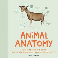 Cover image for Animal Anatomy