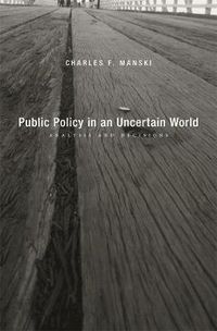 Cover image for Public Policy in an Uncertain World: Analysis and Decisions