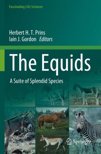 Cover image for The Equids