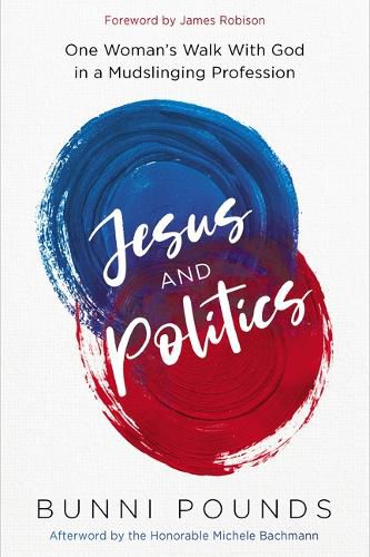 Cover image for Jesus and Politics
