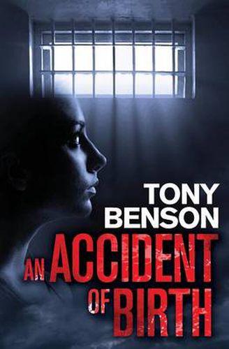 Cover image for An Accident of Birth