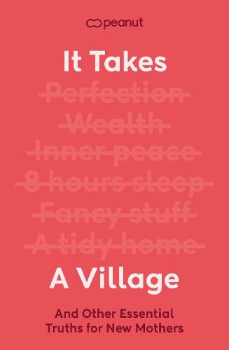 Cover image for It Takes a Village