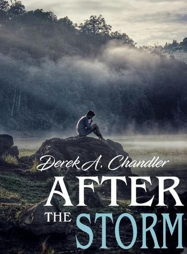 Cover image for After The Storm