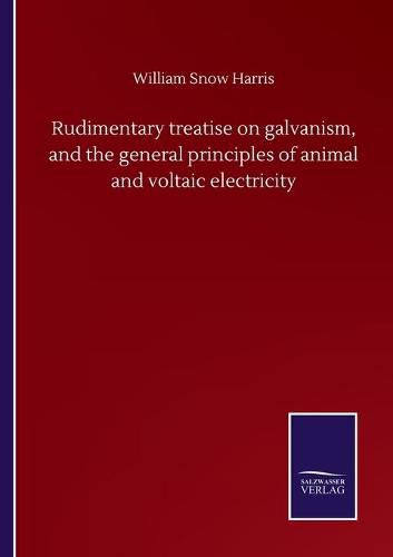 Cover image for Rudimentary treatise on galvanism, and the general principles of animal and voltaic electricity